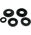 OIL SEAL SET MSE KAW