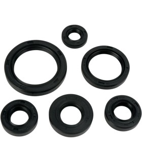 OIL SEAL SET MSE KAW