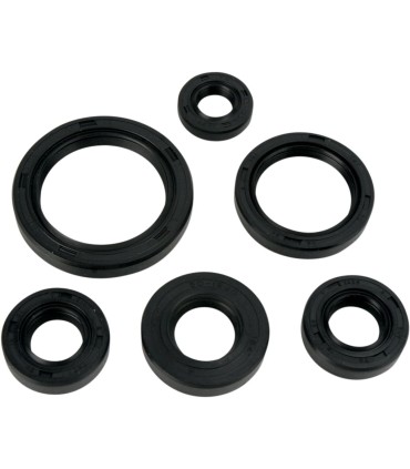 OIL SEAL SET MSE KAW
