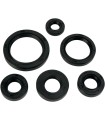 OIL SEAL SET MSE KAW