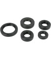 OIL SEAL SET MSE KAW