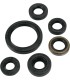 OIL SEAL SET MSE KAW