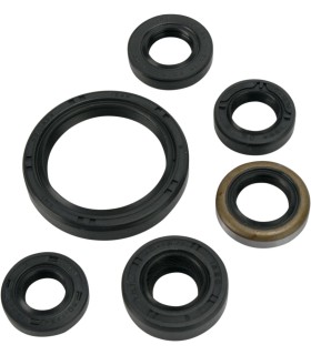 OIL SEAL SET MSE KAW