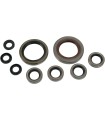 OIL SEAL SET MSE POL