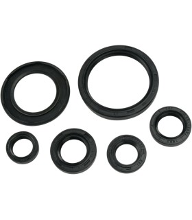 OIL SEAL SET MSE YAM