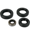 OIL SEAL SET MSE HON