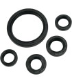OIL SEAL SET MSE YAM