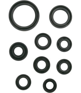 SEAL OIL SET KX450F