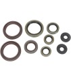 SEAL OIL SET 450/530EXC