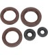 OIL SEAL SET MSE CAN AM