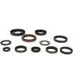 OIL SEAL SET MSE YAM