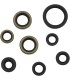 SEAL OIL SET KAWASAKI