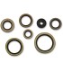 SEAL OIL SET KTM