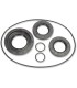 SEAL KT DIFFERENTIAL RR