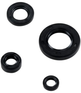 SEAL KIT ENGINE OIL SUZ