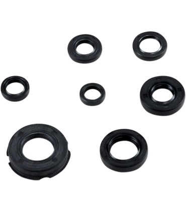 SEAL KIT ENGINE OIL HON