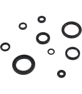 SEAL KIT ENGINE OIL HON