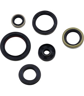 SEAL OIL SET KTM