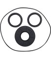SEAL KT DIFFERENTIAL FRT
