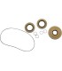 SEAL KT DIFFERENTIAL FRT