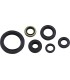 SEAL OIL SET KLX250