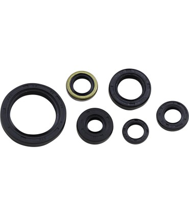 SEAL OIL SET KLX250