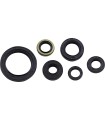 KIT D'HUILE D'ÉTANCHÉITÉ KLX250