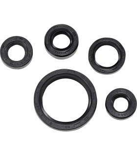 SEAL OIL SET DRZ200
