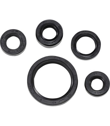 SEAL OIL SET DRZ200