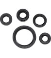 SEAL OIL SET DRZ200