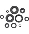 SEAL OIL SET YZ 65
