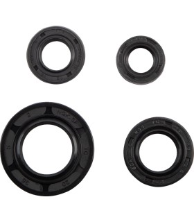 SEAL OIL SET YAM TTR