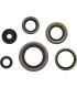 GASKET KIT OIL SEAL KTM