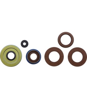 OIL SEAL SET MSE POL
