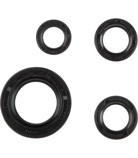SEAL OIL SET HON