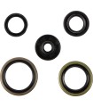SEALS-ORINGS & KIT