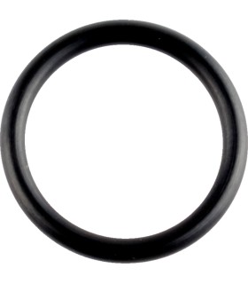 ORING CRANKCASE