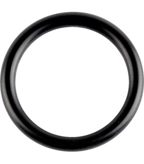 ORING CRANKSHAFT