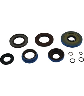 TRANSAXLE SEAL KIT POL MSE