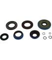 TRANSAXLE SEAL KIT POL MSE