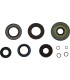 TRANSAXLE SEAL KIT POL MSE
