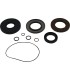 TRANSAXLE SEAL KIT POL MSE