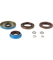 TRANSAXLE SEAL KIT POL MSE