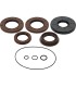 TRANSAXLE SEAL KIT POL MSE