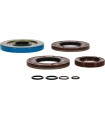 TRANSAXLE SEAL KIT POL MSE