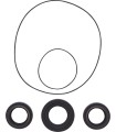 DIFFERENTIAL SEAL ONLY KIT FRO