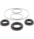DIFFERENTIAL SEAL ONLY KIT FRO