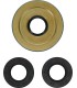 DIFFERENTIAL SEAL ONLY KIT FRO