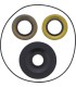 DIFFERENTIAL SEAL ONLY KIT REA