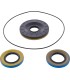 DIFFERENTIAL SEAL ONLY KIT REA